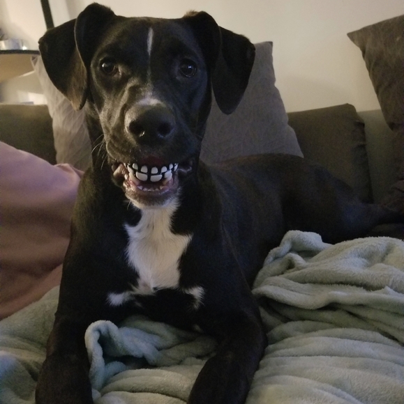 Meet Your Posher! - Picture 4 of 8